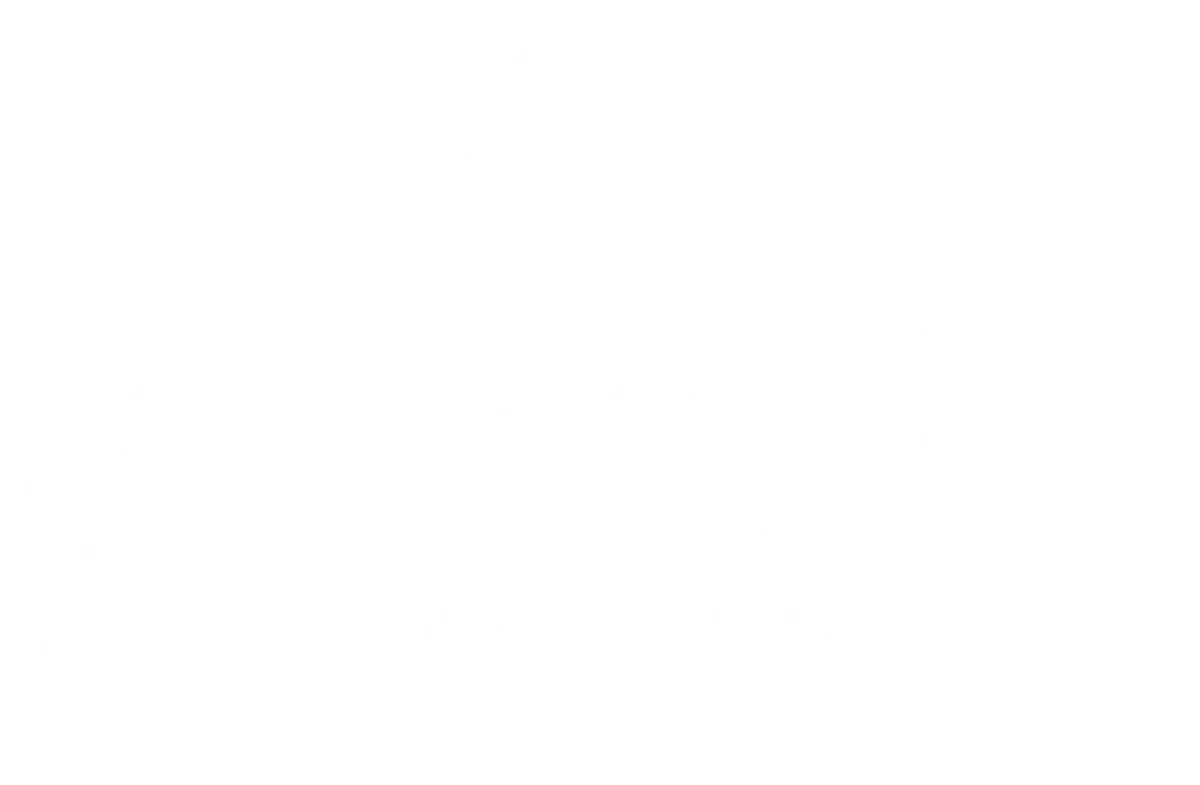 Necip Pistachio